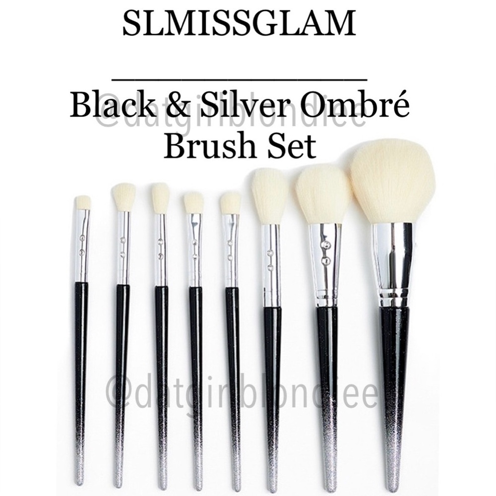 SLMISSGLAM: Black & Silver Brush Set